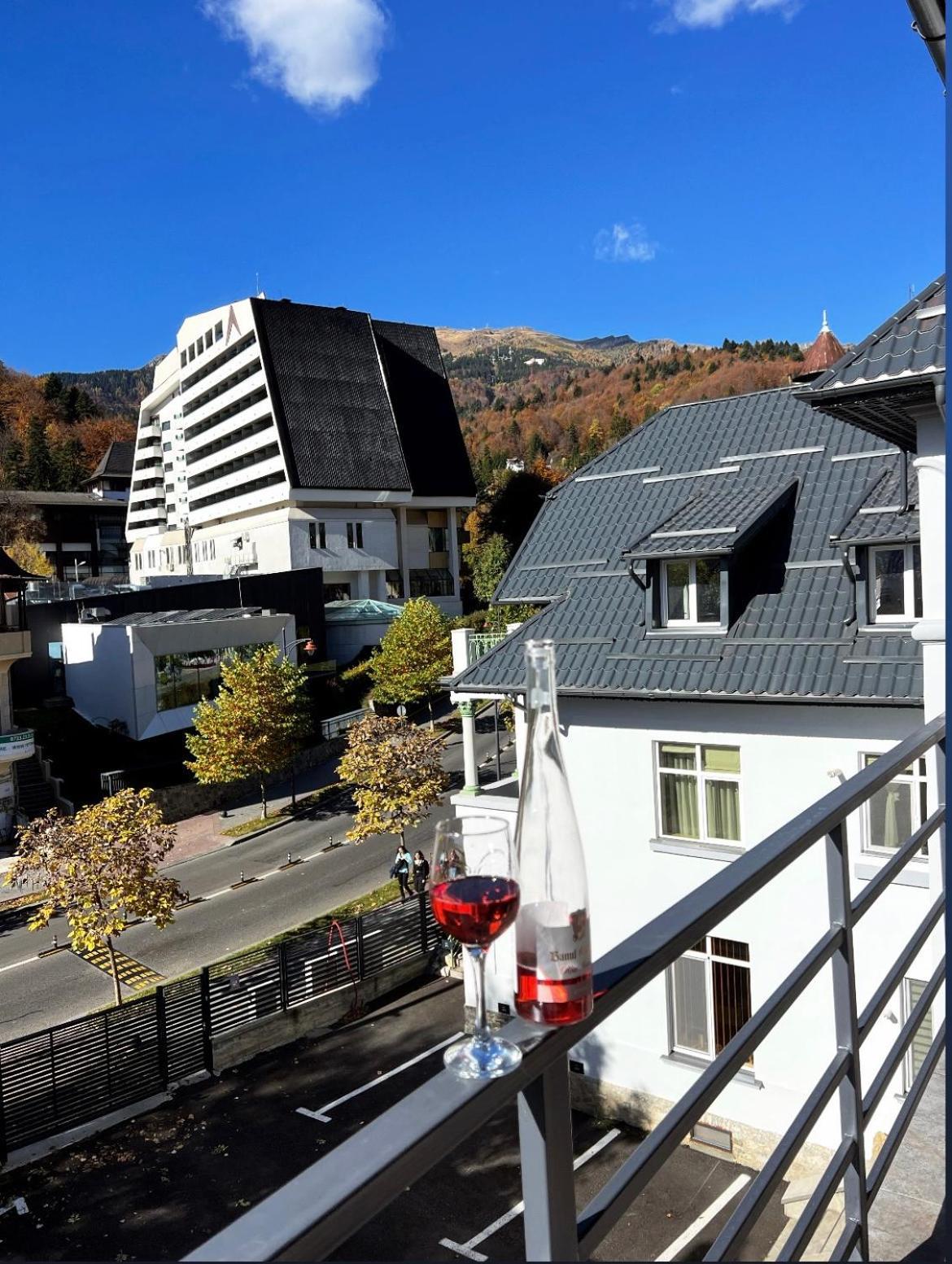 Ana Apartments Sinaia Bagian luar foto